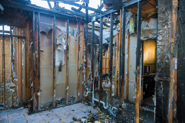 Professional Odor Removal technician working in Shepherd, MI